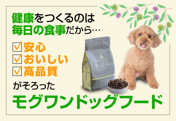 ���O�����h�b�O�t�[�h