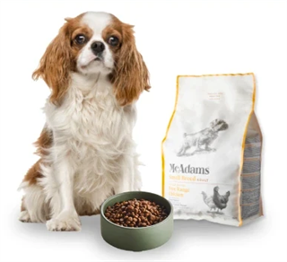 マックアダムズドッグフード チキン