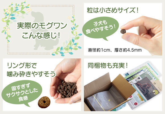 ���O�����h�b�O�t�[�h